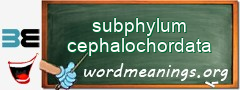 WordMeaning blackboard for subphylum cephalochordata